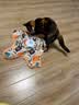 欢宠网猫玩具猫咪五角星捕捉罩捕猎电动自动逗猫棒猫猫小猫幼猫自嗨解闷 实拍图