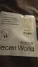 秘密世界（SecretWorld）赵今麦同款|小平角女士内裤100纯棉加长裆抗菌无痕不卷边四角短裤 实拍图