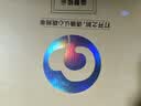 仙境飞机杯臀部倒模膜仿硅胶真人1:1充气娃娃成人玩具斐济情趣用品 实拍图