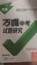 【北京专版】2027万唯中考试题研究语文初三九年级中考总复习资料真题辅导书万维教育 实拍图