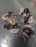 【一周不重样】时尚可爱美拉德头绳小熊高马尾弹力丸子头发圈 小熊发圈混色-5根装特惠 1件套 实拍图
