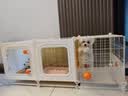 蔻丝狗笼子小型犬带厕所一室一厅一卫豪华别墅室内家用博美比熊狗窝 实拍图
