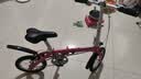 大行（DAHON）BYA412 粉色折叠自行车14英寸超轻便携小轮男女式单车 实拍图