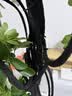 叹为观止大型植物发财树各种大颗盆栽开业乔迁客厅办公室内好养大型花卉 造型鸭脚木【1.5-1.7米】 含盆 实拍图