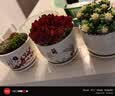 裕轩堂花盆陶瓷家用吊兰蝴蝶兰绿萝带托盘大号个性阳台简约多肉室内套装 梅兰竹菊（四个14厘米） 中等 实拍图