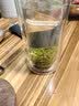 文新绿茶2026新茶好茶好喝信阳毛尖特级200g明前罐装中秋节茶礼 实拍图