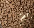 好主人（CARE）金装无谷猫粮通用高肉高蛋白【升级金装80%含肉量】成猫粮2.5kg 实拍图