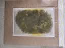 【披哥同款】奇正藏药 消痛贴膏1贴/袋*8贴/盒膏药 急慢性扭挫伤 风湿疼痛 骨质增生 落枕 肩周炎 实拍图