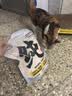 路斯冻干猫零食鸡胸肉冻干犬猫通用宠物零食鸡胸肉500g 实拍图