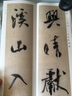 二玄社 进口字帖 蜀素帖之精选扩大法帖20 文房四宝毛笔字帖临摹书法用品 实拍图
