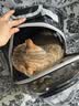 licheers猫包外出大号宠物背包便携太空舱猫笼双肩透气大容量猫咪书包 实拍图