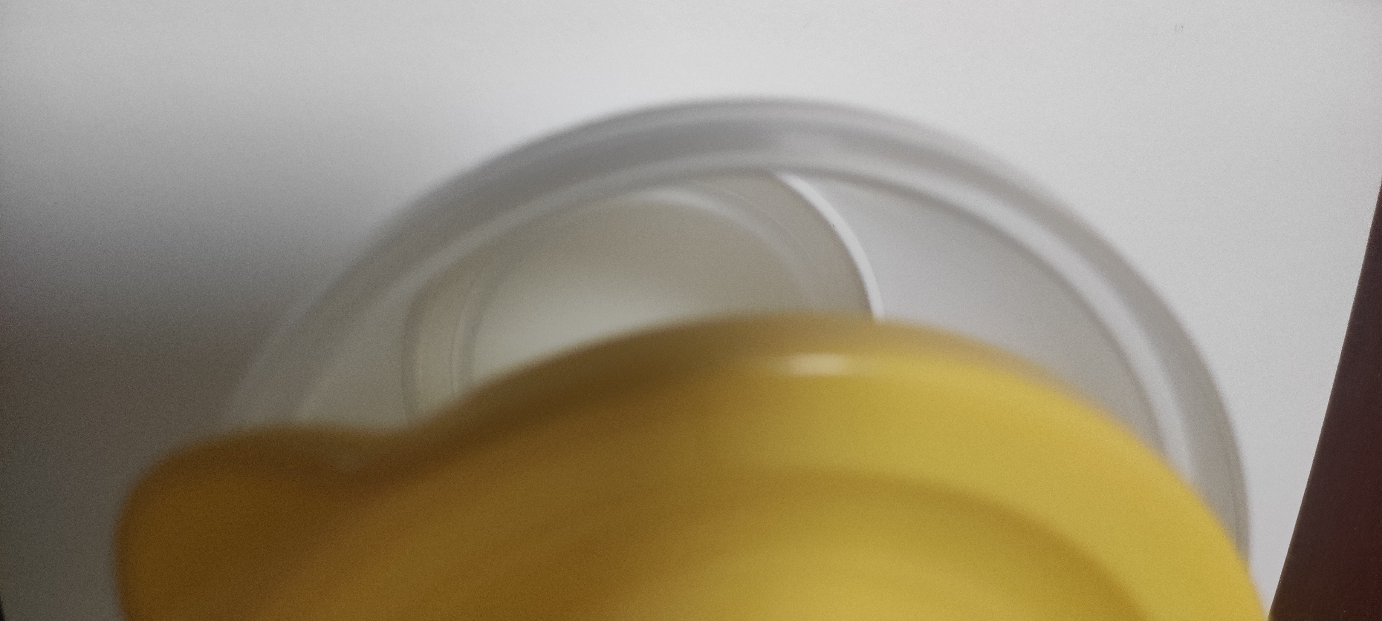 【马卡龙盖】食物收纳保鲜盒密封圆形冰箱收纳盒谷物零食蔬菜水果 密封保鲜盒绿色 1个 实拍图