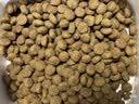 奥丁（ODIN）猫粮 鲜肉美毛 幼猫成猫美短英短蓝猫暹罗猫 鱼肉味天然猫粮2kg 实拍图