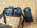 佳能（Canon）EOS R10 微单相机 4K Vlog视频直播 轻量化家用旅游照相机 RF-S 18-150mm大变焦套机 摄影进阶套装 实拍图