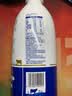 伊利醇好喝纯牛乳整箱950ml*6盒【INF工艺】全脂牛奶 家庭乐享礼盒装 实拍图