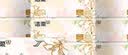 洁柔抽纸 繁花系列3层100抽*20包 可湿水面巾纸 柔韧卫生纸 整箱纸巾 实拍图