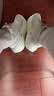 布鲁克斯（BROOKS）男子缓震跑鞋Glycerin max超级甘油 灰色/黑色/荧光黄绿 44 实拍图