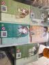 双子座：闯进你的孤单星球 实拍图