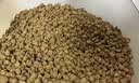网易严选全价猫粮4.0成幼猫三文鱼亮毛养胃深海鱼虾1.8kg*4袋【宠物金选】 实拍图