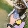 六鹤净水片食用级战备井水消毒片农村饮用水野外消杀菌除异味净化剂 100片*1瓶【一片水立清】 实拍图