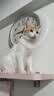 力狼猫条猫咪零食幼猫成猫宠物罐头猫咪汤包湿粮 【力荐箱装】5种口味15g*80支 实拍图