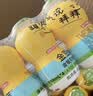 金豆芽儿童金银花柚子汁155ml*16瓶夏天孩子饮料宝宝果汁西柚汁 实拍图