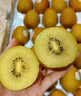 佳沛（zespri）新西兰金奇异果22粒巨大原箱146-175g猕猴桃中秋节礼品送水果礼盒 实拍图