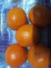 京鲜生南非Sweet C小蜜橘净重500g 单果70g+ 柑橘桔子水果 实拍图