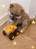 宝路狗粮 幼犬狗粮牛肉味1.3kg泰迪通用型中小型犬 实拍图