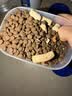 亿迪猫粮冻干幼猫成猫10斤全价英短蓝猫布偶老年猫国产通用全阶段5kg 实拍图