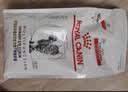 皇家（ROYAL CANIN）泌尿道处方猫粮LP34稀释尿液溶解鸟粪石结石成猫全价处方粮6KG 实拍图