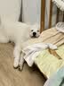 领先狗罐头全价湿粮零食犬主食罐成幼犬120g*18罐（新老包装随机发） 实拍图