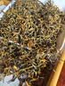 班章醇滇红茶云南古树红茶金丝滇红金芽头春茶中秋小罐散茶叶礼盒装250g 实拍图