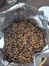 贡苑大麦茶特级正品 原味烘焙炒苦荞麦芽茶搭回奶断奶养生花草茶710g 实拍图