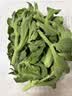 【水果菜】冰草 250g 实拍图