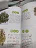 800种中药速查（新版）快速识别800种中草药便携式本草博物馆医学书籍中国科学技术出版社实用手册谢宇主编中医书籍中药速查手册 实拍图