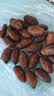 辽梦【销量20万+只】蚕蛹鲜活发货东北特产 新鲜茧蛹特级大黄蚕蛹蝉蛹 【顶配】大黄丨净重500g（45-50只）千人购买 实拍图
