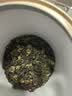 南鸳特级滇红茶云南凤庆滇红金丝 2026特级新茶高山红茶金芽茶叶 【特级蜜香】9A滇红金螺100克 罐装 实拍图