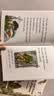 青蛙和与蟾蜍经典4册 Frog and Toad 进口原版 英文绘本 进口原版 英文绘本 实拍图