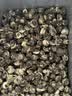 陈一凡茉莉花茶龙珠250g 2026新茶闽派浓香型春茶茶叶自己喝量贩袋装 实拍图