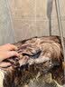 雪貂留香狗狗沐浴露宠物猫咪香波泰迪比熊清洁驱虫除虫止痒浴液 抑菌驱螨 实拍图