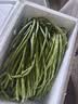 山东莘县大棚豇豆新鲜长豆角凉拌菜脆嫩鲜甜 农家精选带箱5斤装（净重4.2斤） 实拍图