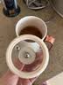 乐扣乐扣迷你养生壶烧水杯养生杯花茶壶热奶电煮杯电炖杯电热水杯烧水壶陶瓷覆层内胆0.35L 实拍图