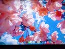 AOC 27英寸2K300Hz 1152分区QD-MiniLED HVA Black HDR1000 快速液晶1ms游戏电竞显示器 逐光Q27G4SMN 实拍图