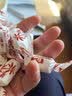 春光 食品 海南特产特制椰子糖 散装糖果水果硬糖 喜糖年货休闲零食 特浓传统椰子糖2500g 实拍图