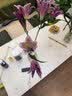 AB级优质香水百合鲜花水培插花家庭生活水养鲜切玫瑰云南产地直发 高品质【AB级随机色大花苞】百合花6朵+保鲜剂 实拍图
