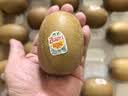 佳沛（zespri）新西兰 金奇异果特大果15粒134-146g猕猴桃中秋节礼品送水果礼盒 实拍图