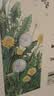 墨斗鱼墙贴画墙纸贴画墙壁装饰宿舍客厅卧室书房冰箱房间墙壁贴纸 实拍图
