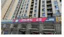 嘉实多（Castrol）极护智E版 全合成机油 5W-30 SP/C2 1L 京东自营 京东养车保养 实拍图