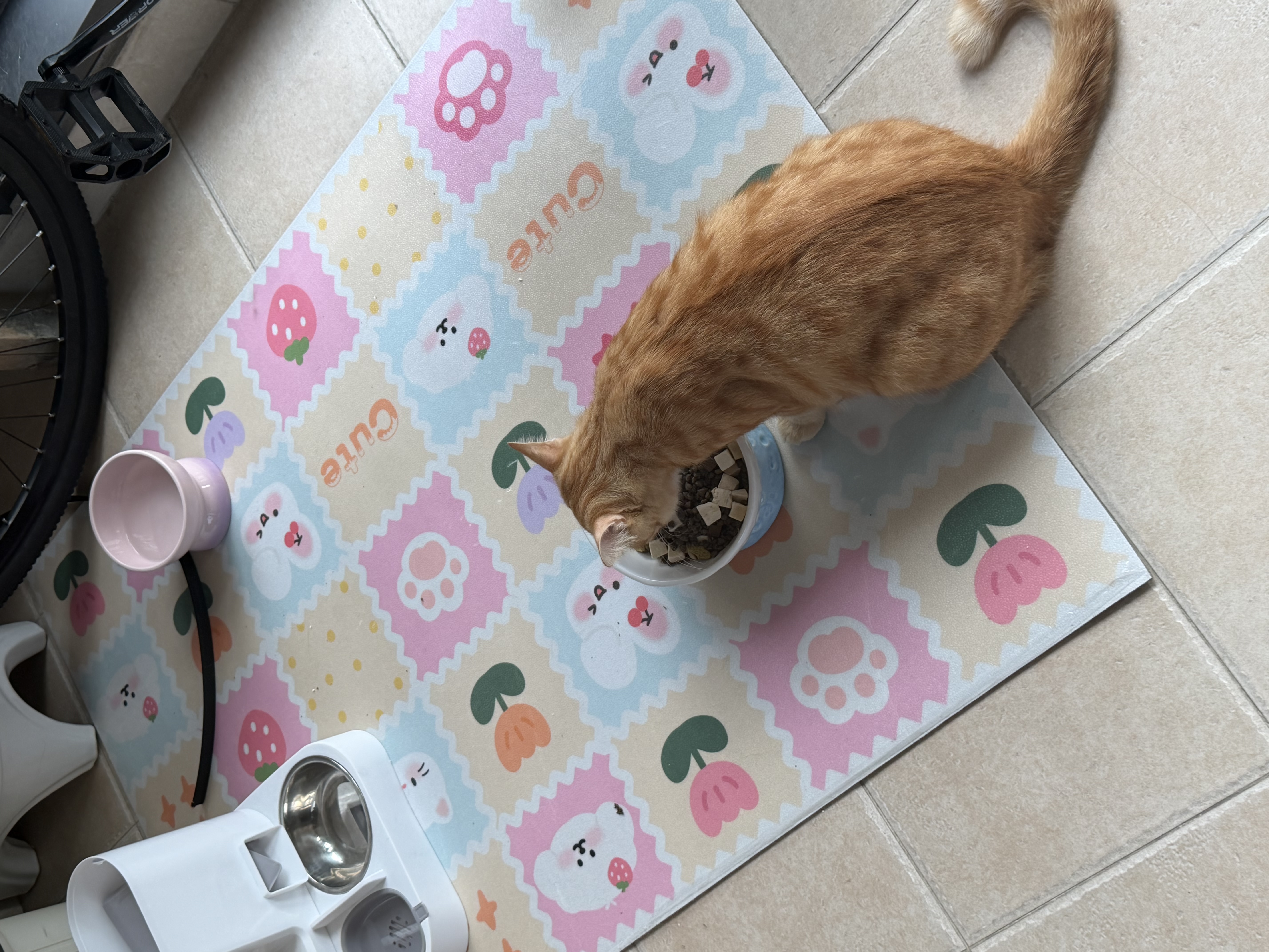 乐优派猫碗陶瓷狗碗猫食盆狗盆宠物碗猫粮碗高脚大容量 月球碗蓝色 实拍图